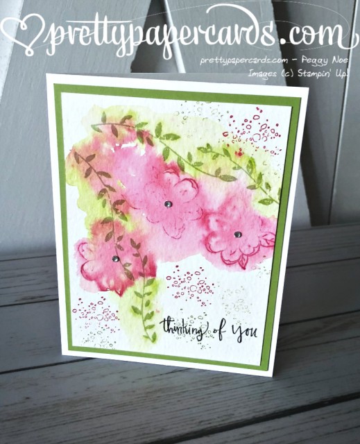Stampin' Up! Botanical Bliss Watercolor - Peggy Noe - stampinup