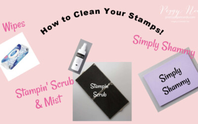 VIDEO TUTORIAL: How To Clean Your Stamps!