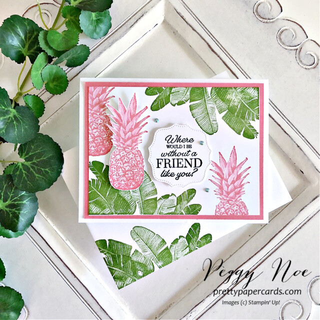 Handmade card made with the Island Vibes Stamp Set by Stampin' Up! created by Peggy Noe of Pretty Paper Cards #islandvibes #peggynoe #prettypapercards #stampinup #stampingup