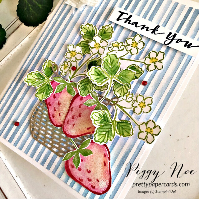 Handmade Thank You Card made with the Sweet Strawberry. Stamp Set by Stampin' Up! created by Peggy Noe of Pretty Paper Cards #sweetsyrawberrystampset #peggynoe #prettypapercards #stampinup #stampingup