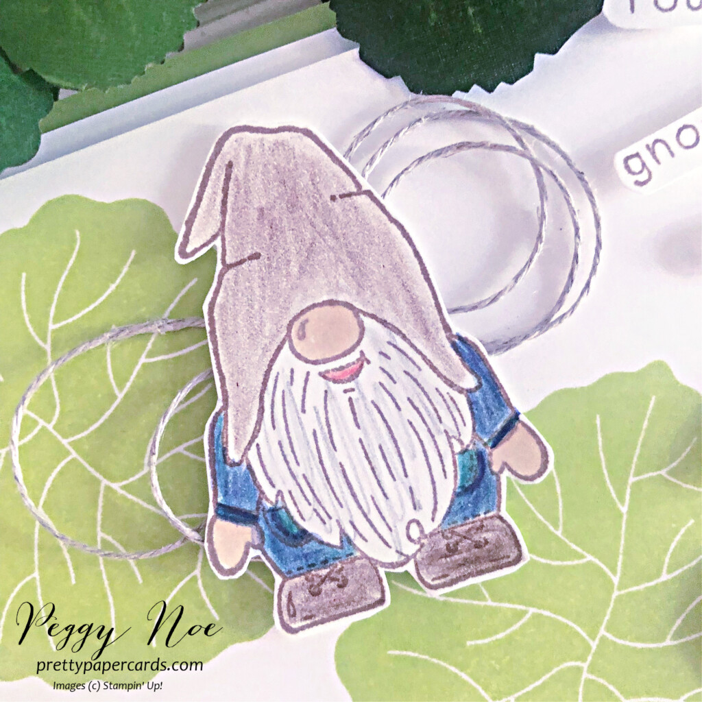 Handmade any occasion card made. with the Kindest Gnomes Bundle by Stampin' Up! created by Peggy Noe of Pretty Paper Cards #kindestgnomes #kindestgnomesbundle #stampinup #peggynoe #prettypapercards #ringsoflovedsp #mushroompaper