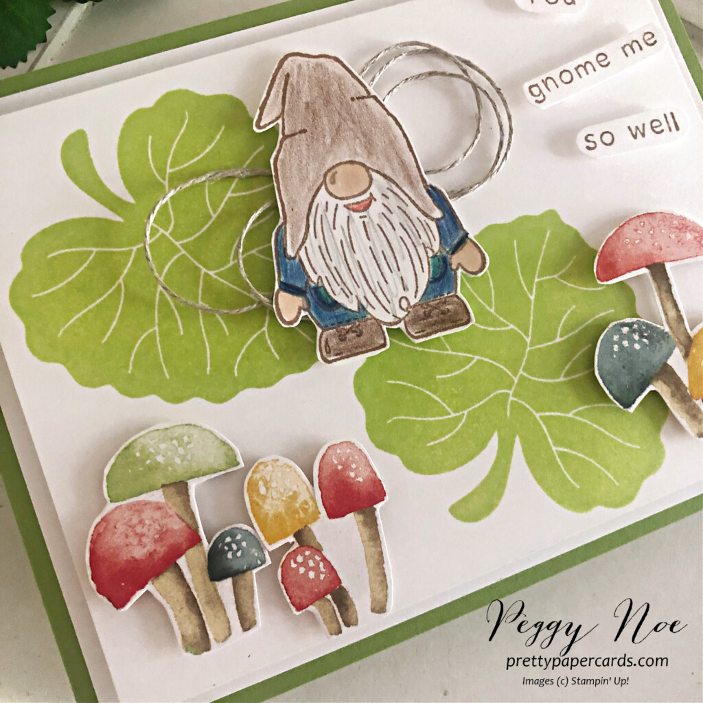 Handmade any occasion card made. with the Kindest Gnomes Bundle by Stampin' Up! created by Peggy Noe of Pretty Paper Cards #kindestgnomes #kindestgnomesbundle #stampinup #peggynoe #prettypapercards #stampingup