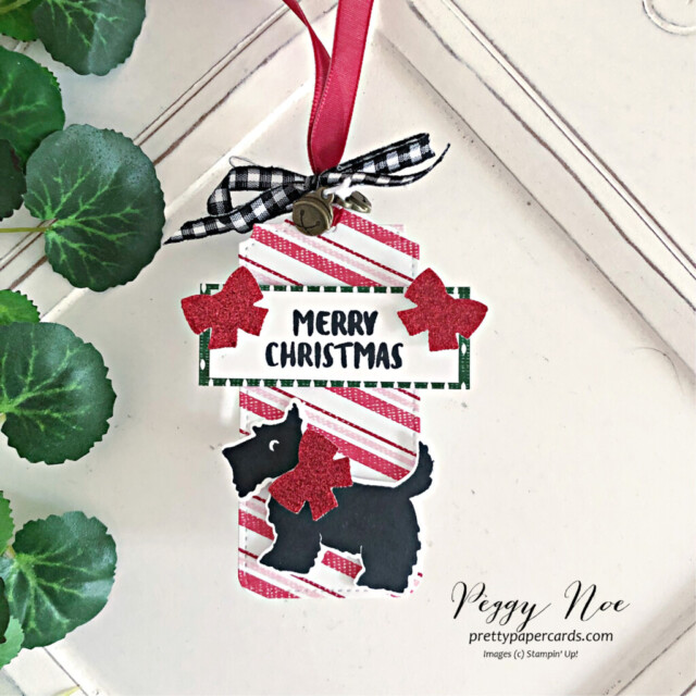 Holiday Tags made with Stampin' Up! products and created by Peggy Noe of Pretty Paper Cards #holidaytags #stampiup #peggynoe #prettypapercards #sweetcandycanes #sweetestchristmasdsp