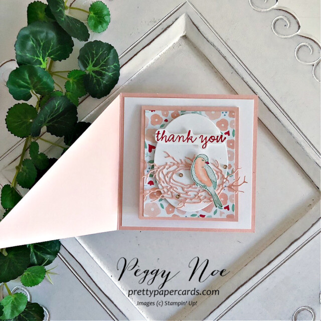 Handmade Thank You Card made with the Nested Friends Bundle by Stampin' Up! created by Peggy Noe of Pretty Paper Cards #nestedfriends #nestedfriendsbundle #peggynoe #prettypapercards #stampinup #stampingup