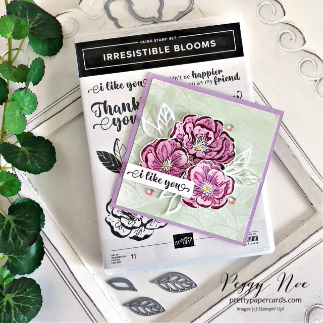 Handmade card made with the Irresistible Blooms Bundle by Stampin' Up! created by Peggy Noe of Pretty Paper Cards #irresistibleblooms #stampinup #peggynoe #ilikeyoucard