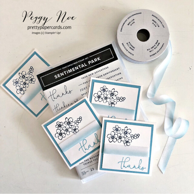 Handmade Mini Thank You Note made with the Sentimental Park Bundle by Stampin' Up! made by Peggy Noe of Pretty Paper Cards #sentimentalparkbundle #sentimentalpark #stampinup #peggynoe #prettypapercards #stampingup