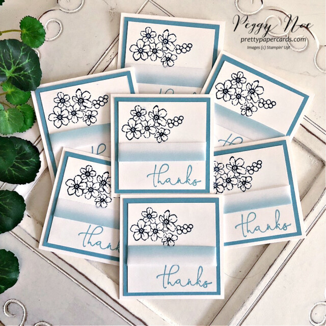 Handmade Mini Thank You Note made with the Sentimental Park Bundle by Stampin' Up! made by Peggy Noe of Pretty Paper Cards #sentimentalparkbundle #sentimentalpark #stampinup #peggynoe #prettypapercards #stampingup #thankyounotes